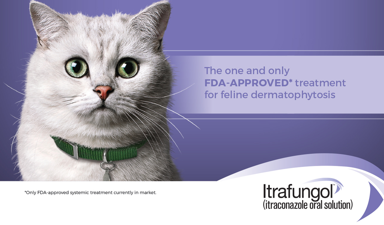 Itrafungol (itraconazole Oral Solution) 10 Mg/mL, 52mL lupon.gov.ph